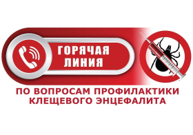 С 30 апреля по 13 мая 2024 года в Управлении Роспотребнадзора по Томской области будет работать Всероссийская «горячая линия» по профилактике клещевого энцефалита.